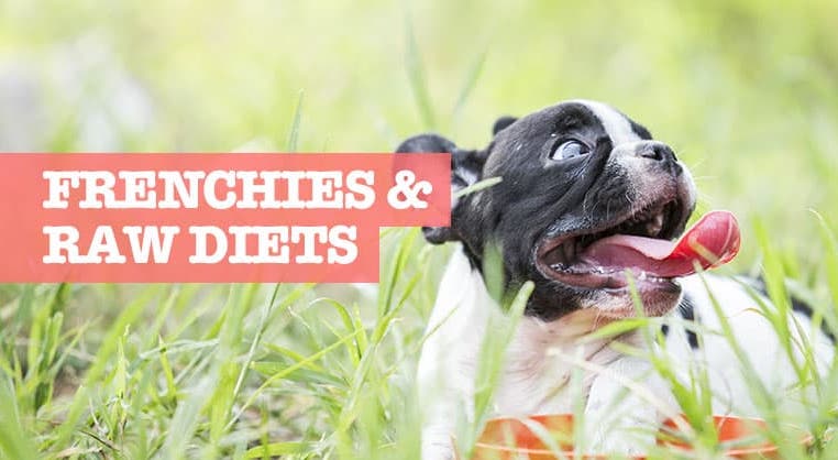 Raw Foods for French Bulldogs